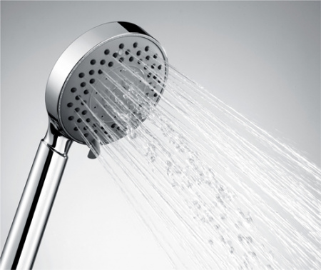 Лейка душевая WasserKRAFT  A032  